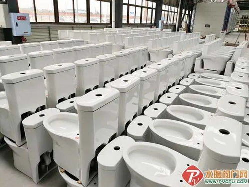 永川帝王潔具 “帝王速度”打造全國(guó)最大智能馬桶工廠(chǎng)，推動(dòng)配件產(chǎn)業(yè)升級(jí)
