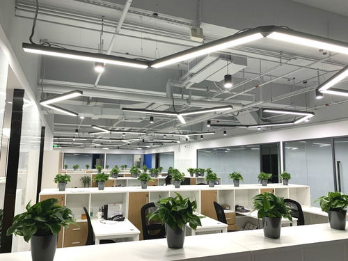 開放而嚴(yán)謹(jǐn) 輕松易筑攜手維度科技，以創(chuàng)新材料打造研發(fā)辦公新典范